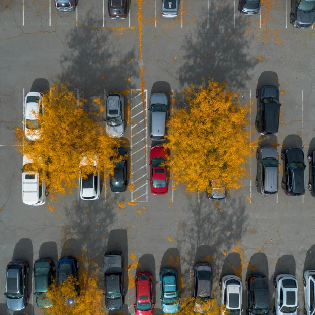 Laryssa ares ky1 Pd0 Sa 3 Q unsplash